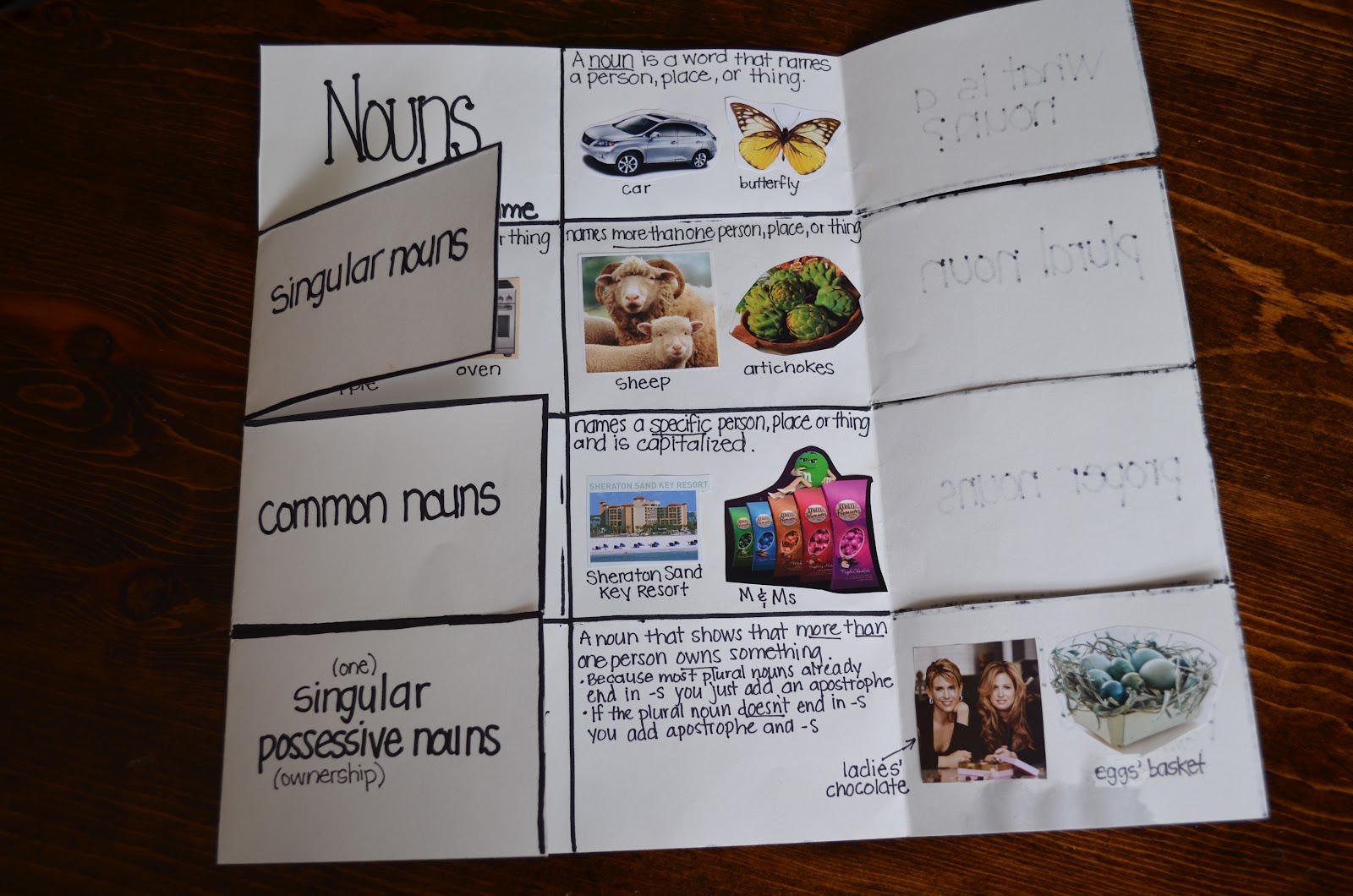 dandelions and dragonflies What We Have Been Up To...