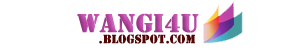 logo wangi4u
