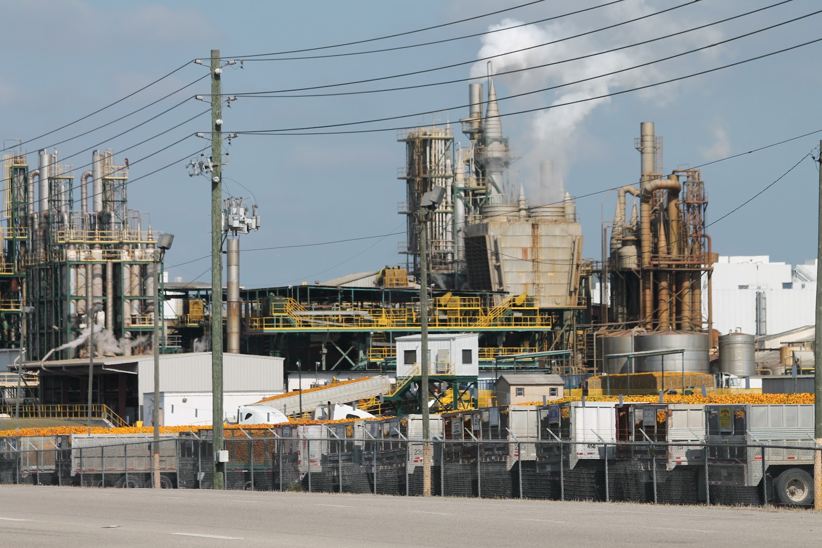 The Flying Mullet Orange Juice Factory