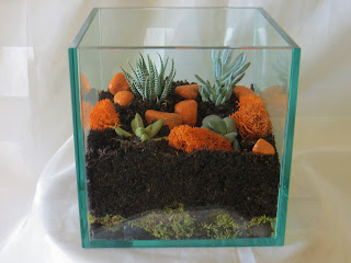 how to make a terrarium