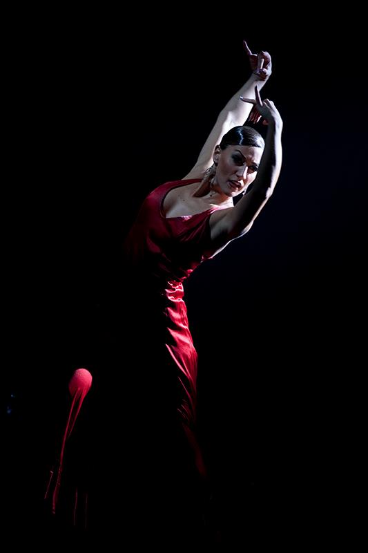 Fine arts: Top Photos from Creative Photography