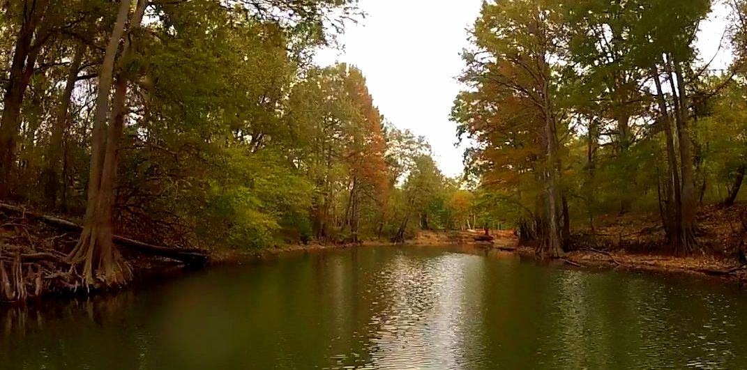 Big Cypress Bayou (Wetland) Alchetron, the free social encyclopedia