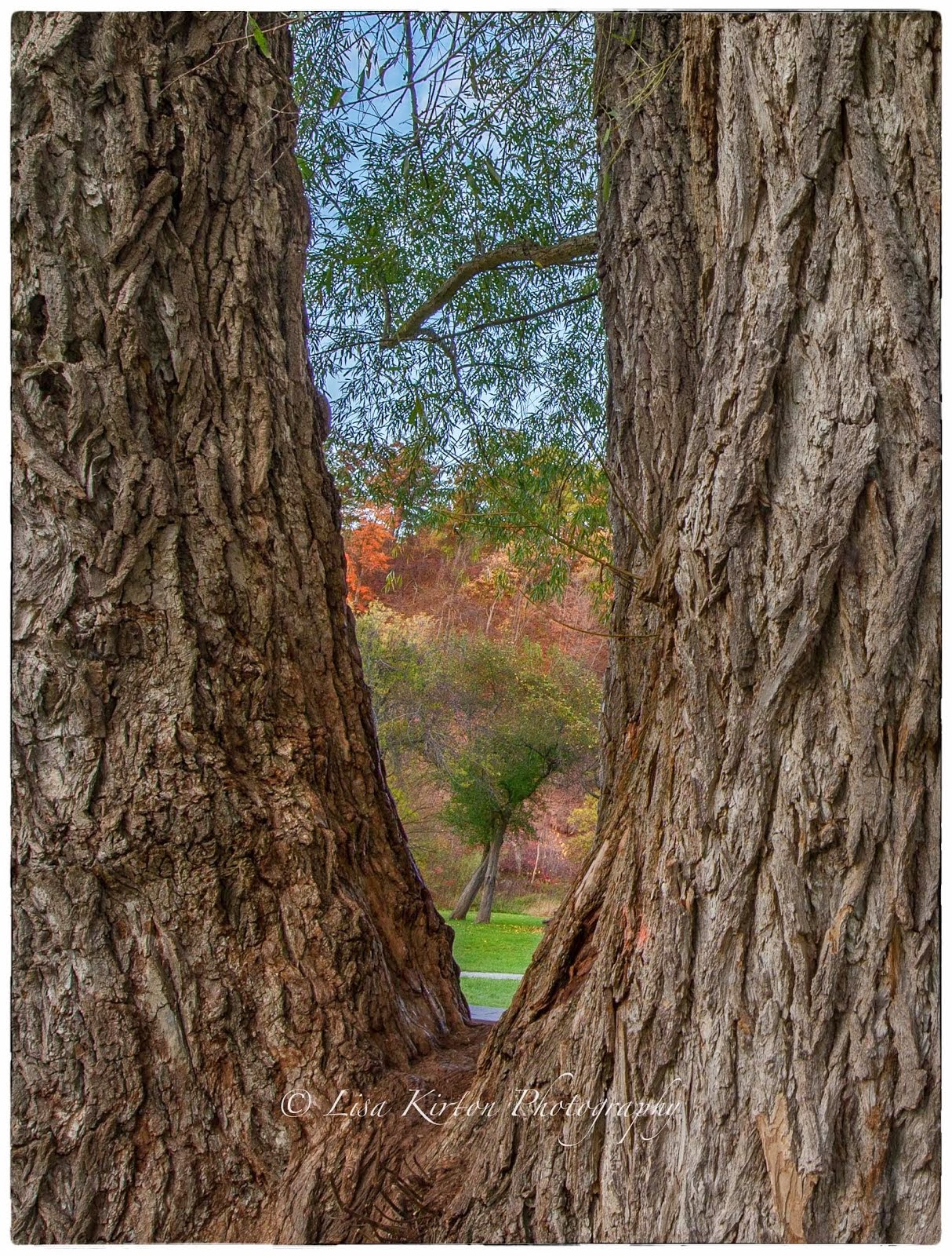 Looking Through