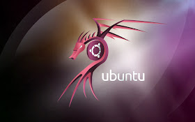 New Ubuntu Dragon 1024