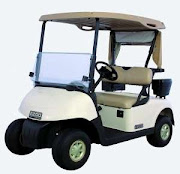 CARRO ELECTRICO DE GOLF