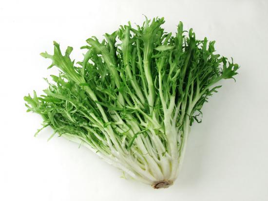 frisee fruits and vegetables frisee fruits and vegetables