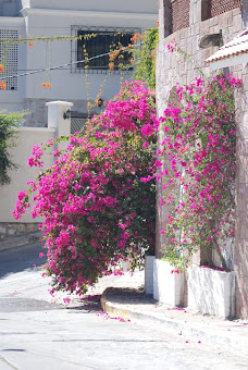 Colourful street