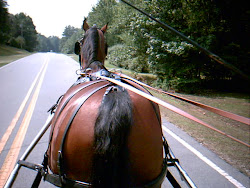 North Carolina country roads