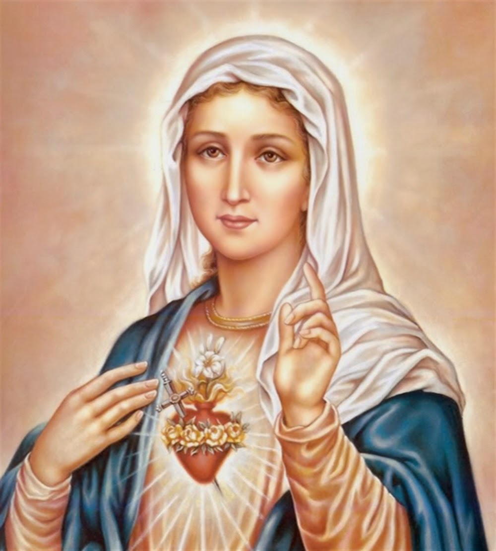 Divine Mercy Apostolate: Holy Mary, Mother of God