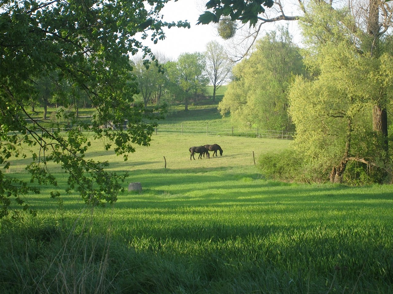 Island Fan Kochbuch Vulkanische Aktivitat Am Thorbjorn