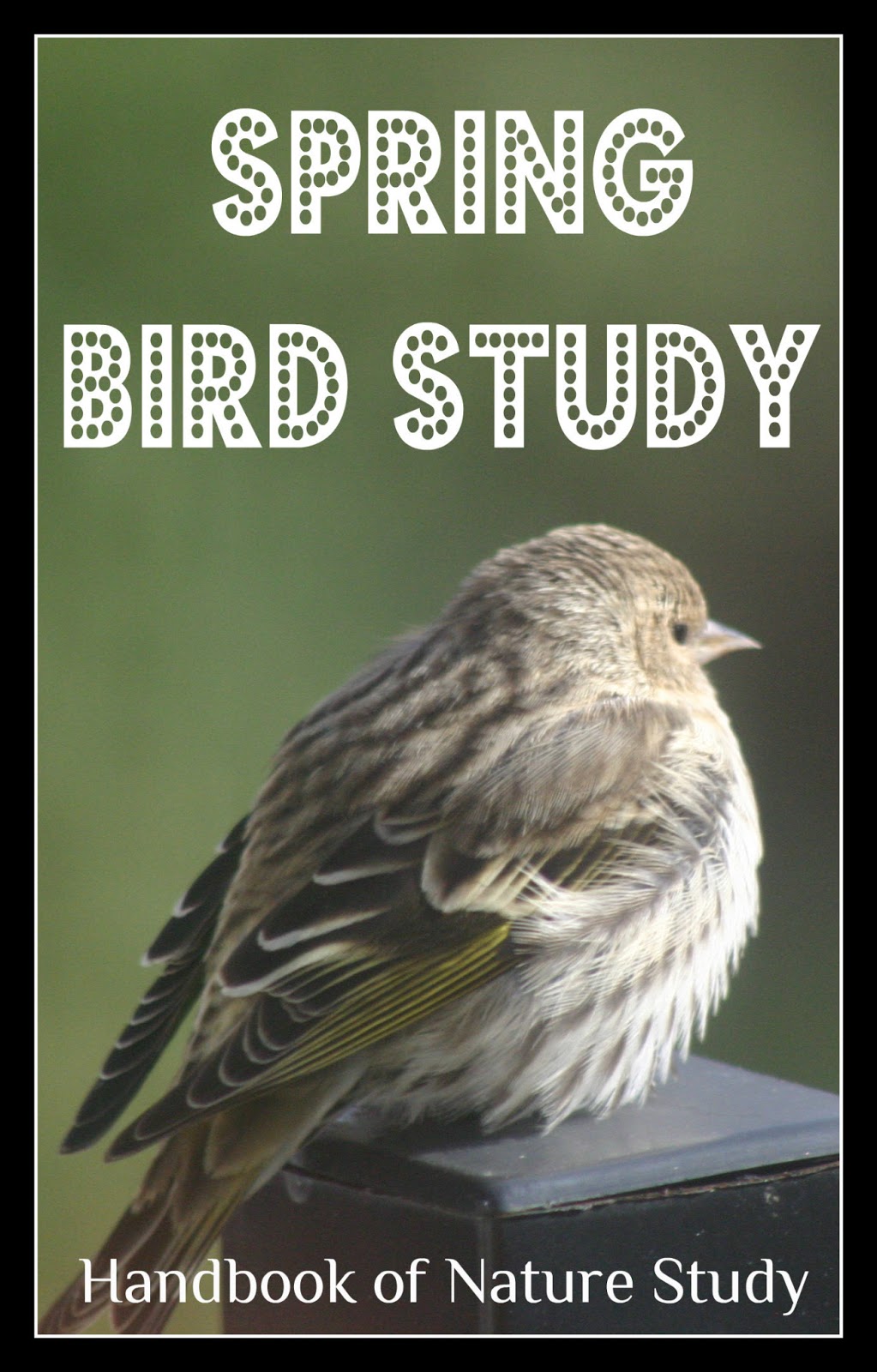 Handbook of Nature Study OHC Spring Series 3 Spring Bird Study