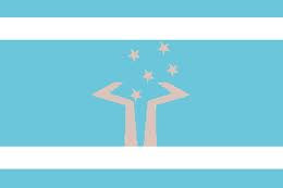 Bandeira de Ceilândia