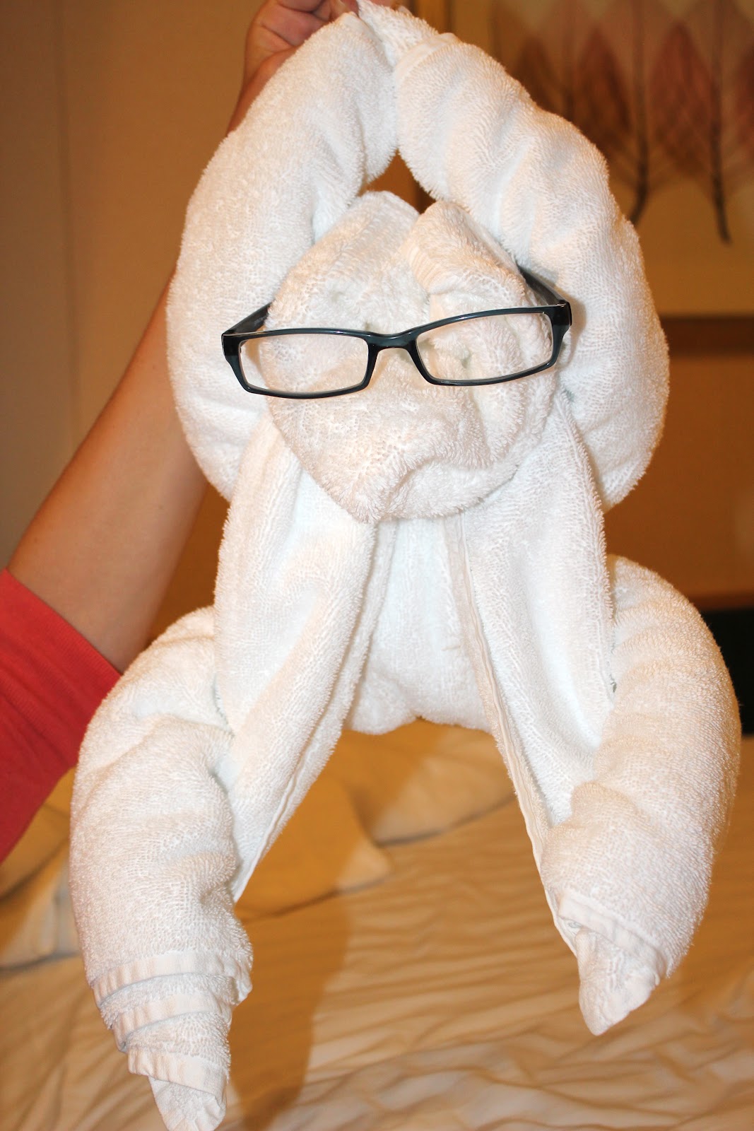 Crafts from my Couch Week 25 Towel Animals