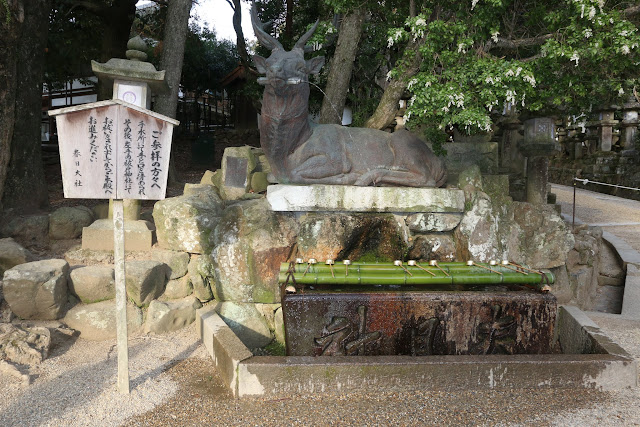 Deer Water Fountain at Kasuga Taisha Temple in Nara Park, Japan Deer Water Fountain at Kasuga Taisha Temple in Nara Park, Japan