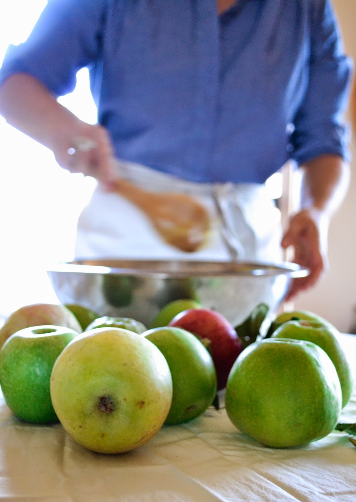 rustic apple galette rustic apple galette