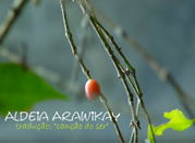 Ecovila Aldeia Arawikay - Youtube