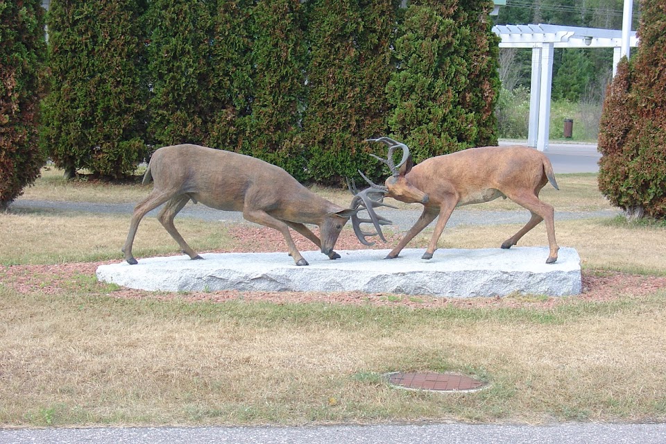 Discover Elliot Lake and The Deer Trail