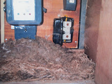 "SQUIRREL NEST" in the Electric Box.