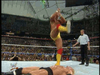 Hogan+4.gif