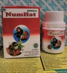 Distributor Numhat