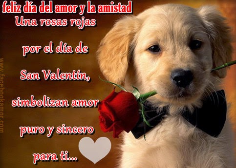 Imágenes de amor y amistad 2015 - 2016 Imágenes de amor y amistad 2015 - 2016