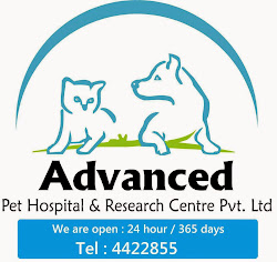 Advanced Pet Hospital