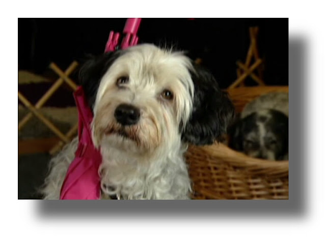 Hmkv Proudly Presents Next Stop Moscow 14 21 July 2016 And