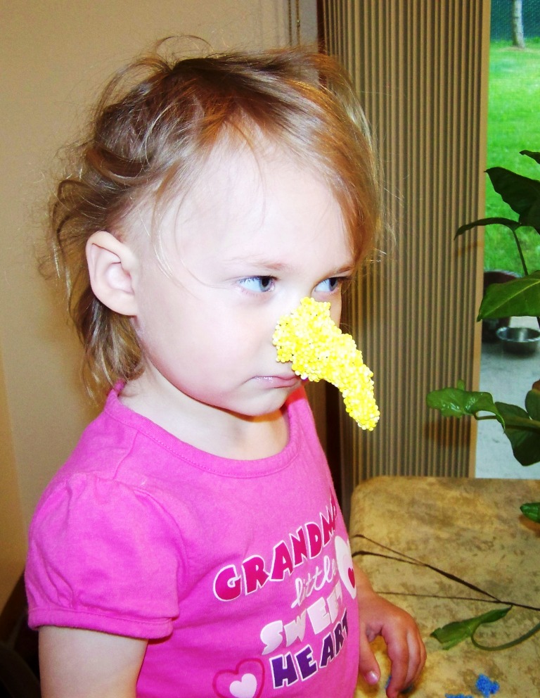 Harleys Adventure Crazy Noses