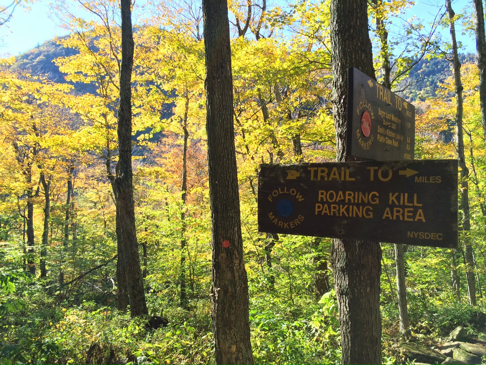 NJ/NY Hikes Catskills Sugarloaf and Plateau