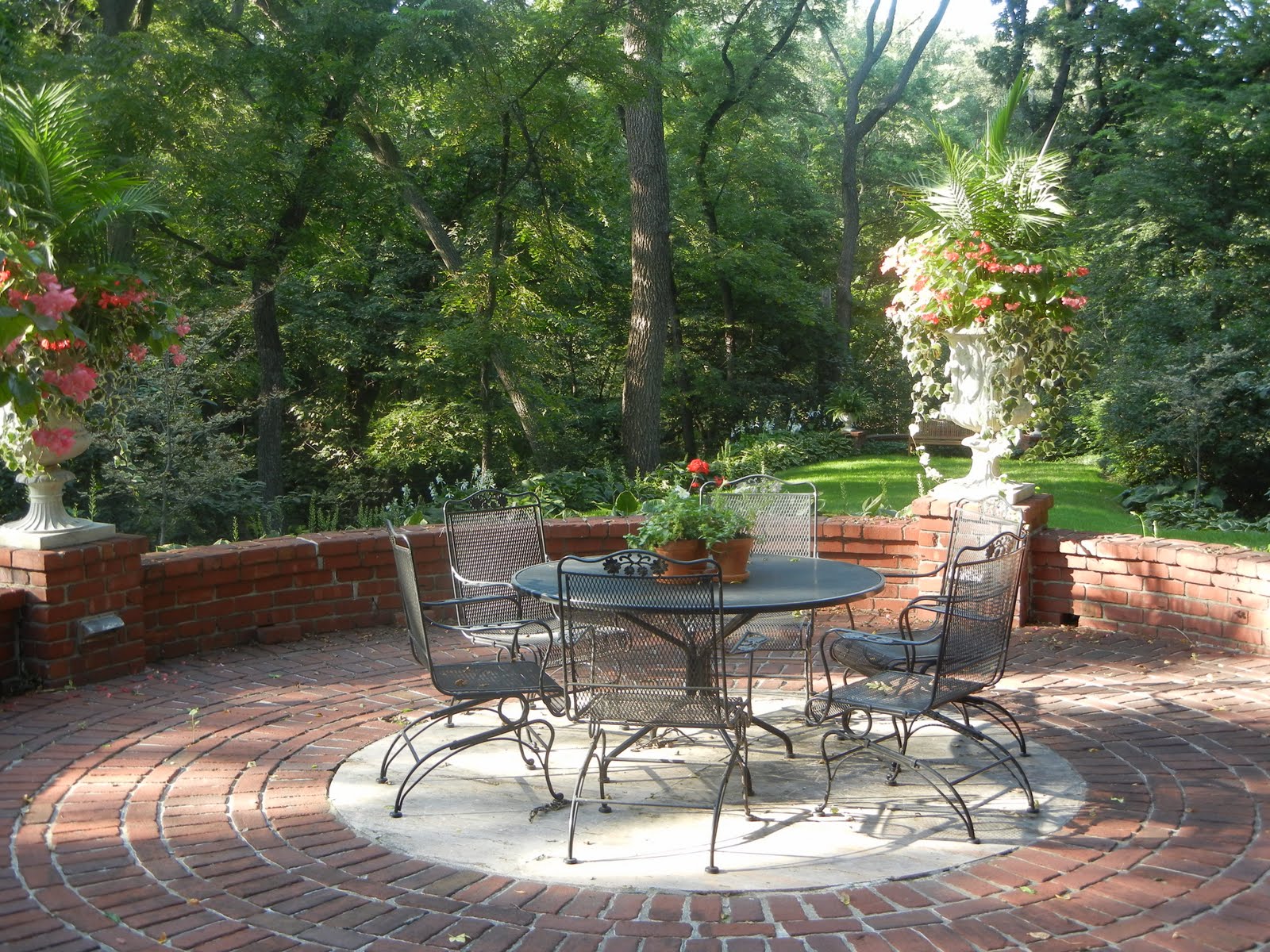 The French Tangerine kelly's garden