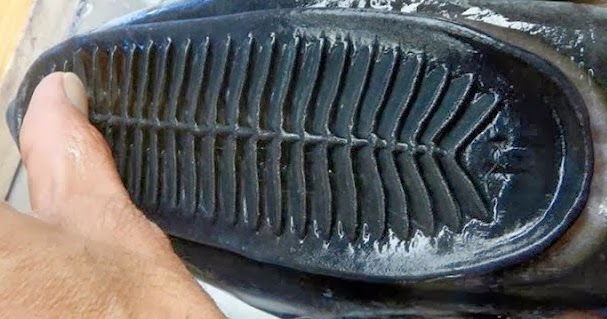 Awesome Animals : This is NOT a shoe!