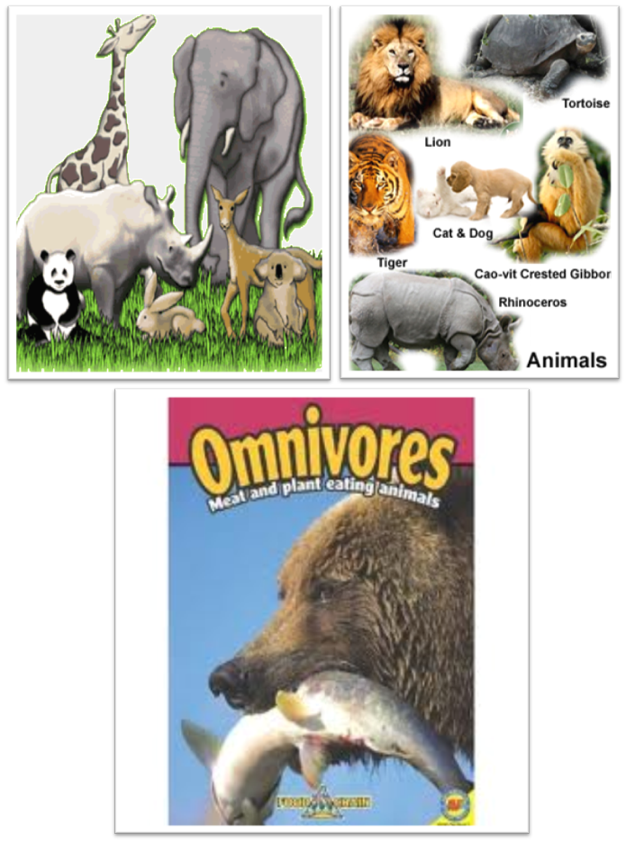 Animals Eat Different Food