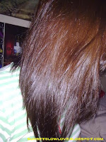 Revlon Colorsilk Luminista 120 Golden Brown on hair