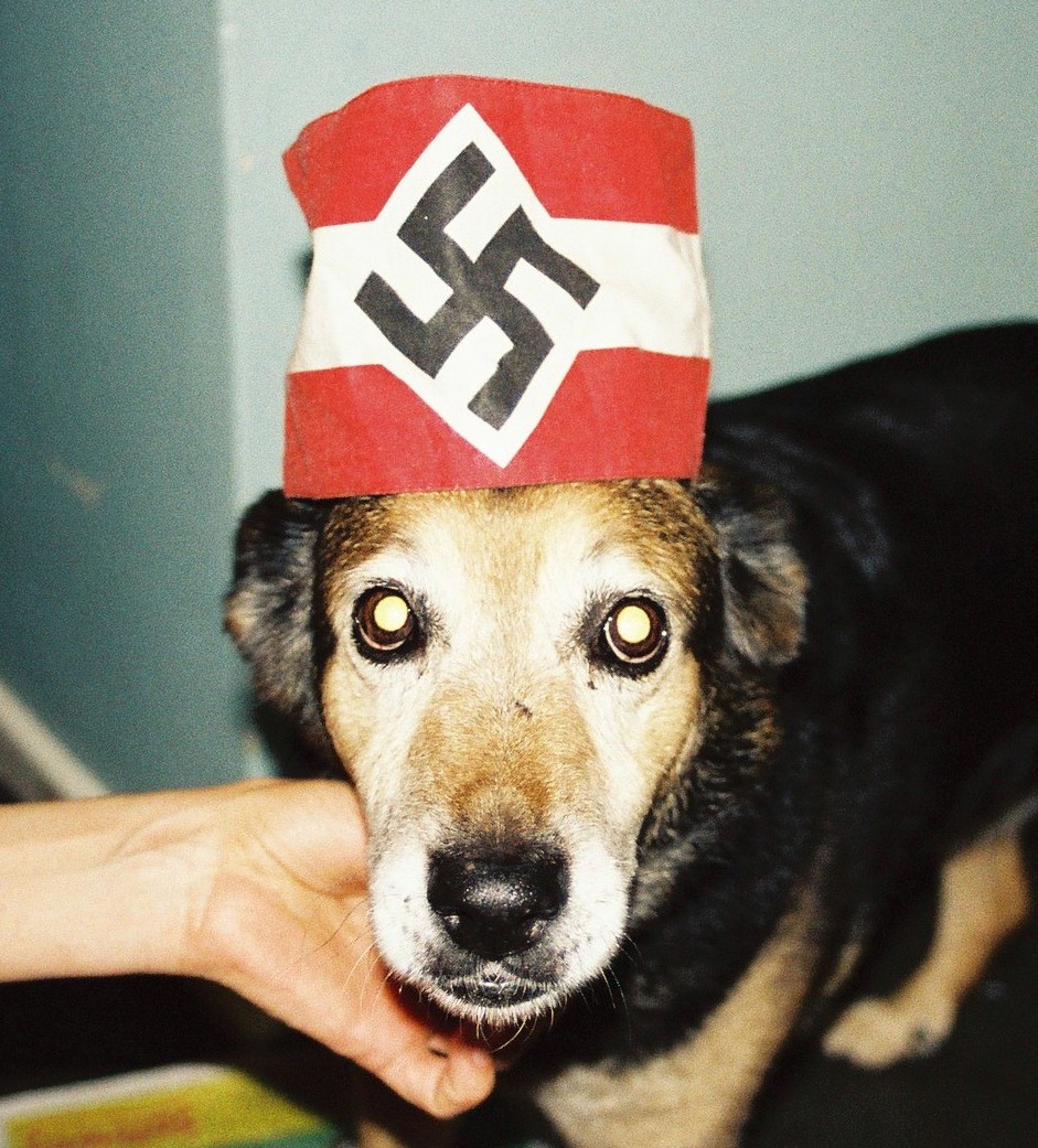 Stellas Testblog 2011