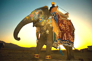 Rajasthan Tours