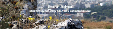 Flora Attica