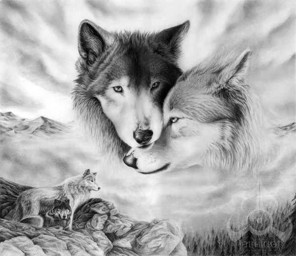 amongst spring blossoms very nice drawings