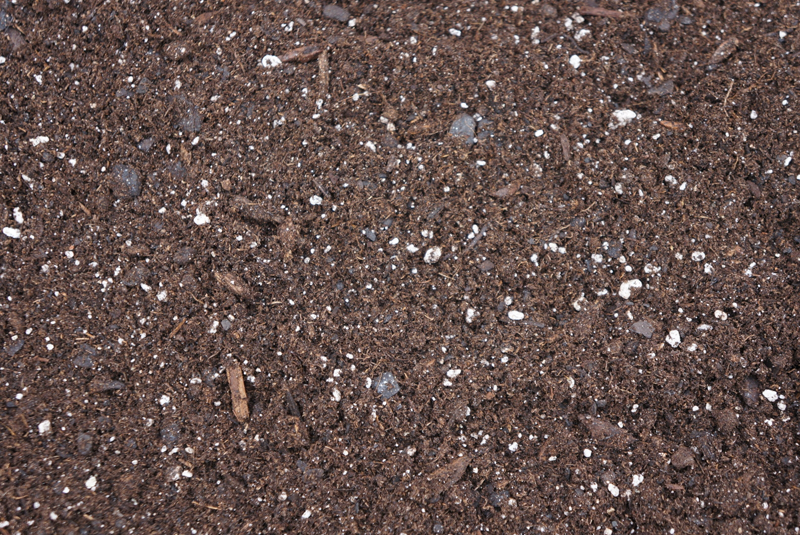 Mr. Gantt's Earth Science Lab Blog 2nd GradeWeek 6 How are potting