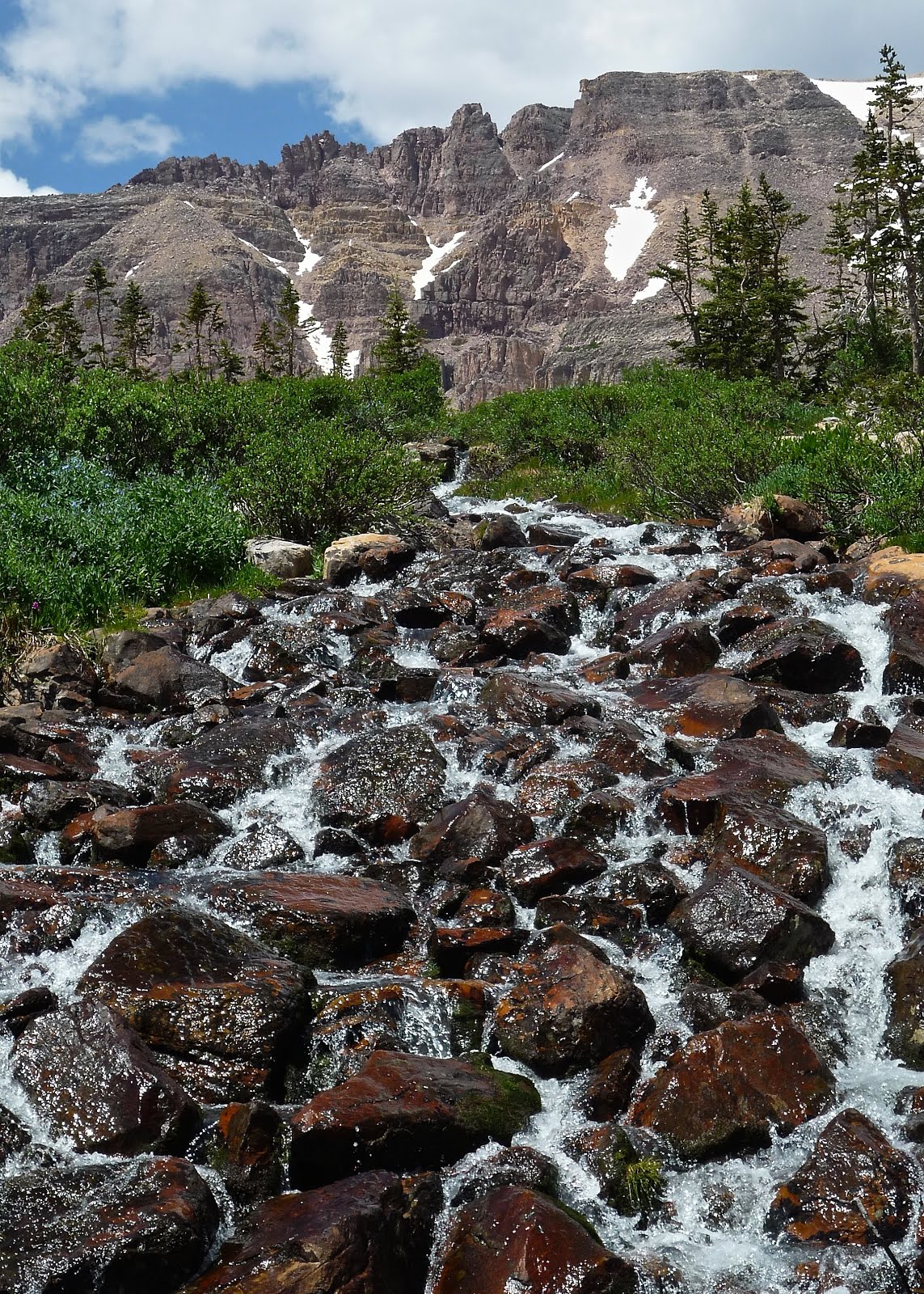 NORTHERN UTAH