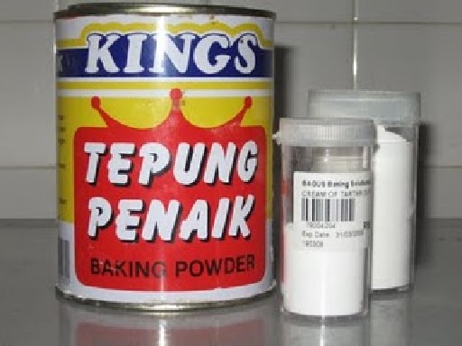 Serbuk Penaik