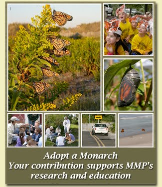 Adopt A Monarch