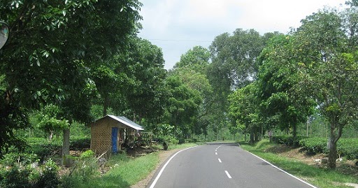 Ziarah Gua Maria Tebar Kamulyan, Subang | Fun Blossom