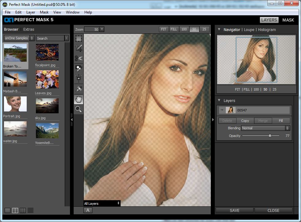 onOne Perfect Photo Suite 9501644 Premium Edition Eng