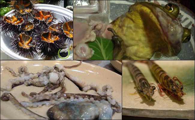 10 Makanan Hewan masih Bernafas yang Dihidangkan di Meja 10 Makanan Hewan masih Bernafas yang Dihidangkan di Meja