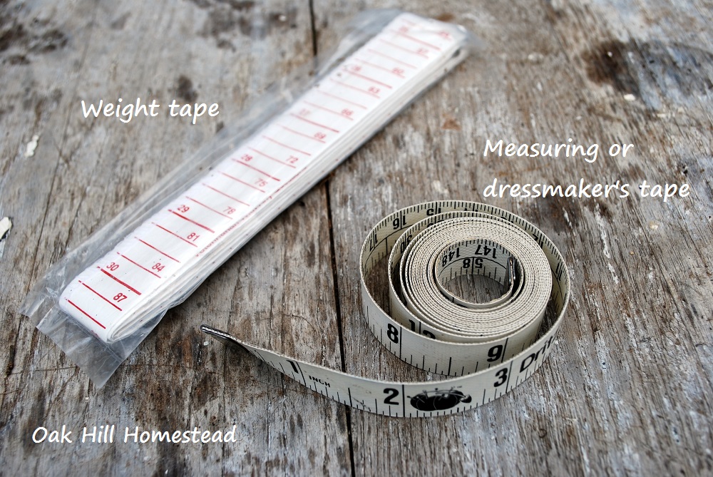 10 MustHave Items for Goatkeepers Oak Hill Homestead