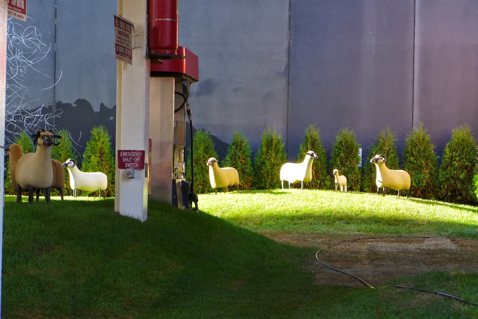 New York Chelsea area, art installation of sheep sculptures