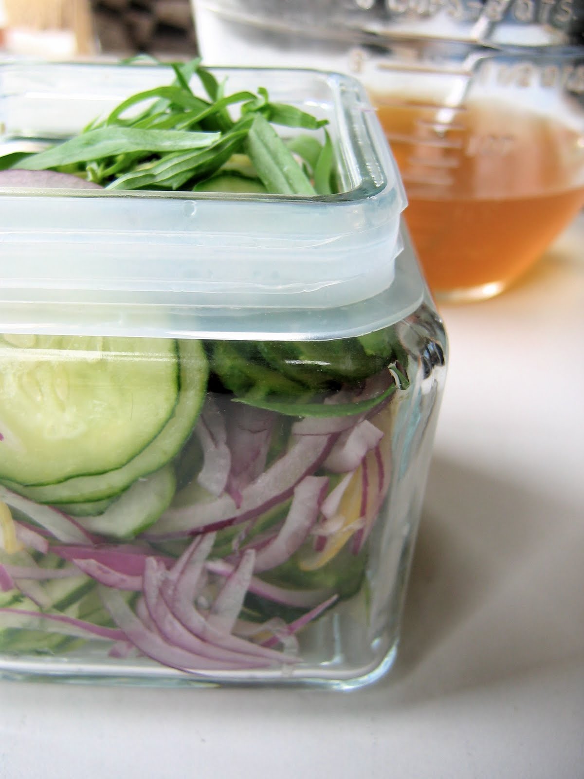 Quick Cucumber Onion Pickles • The Bojon Gourmet