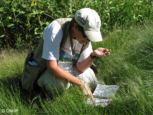 ebook pane e bugie 2013