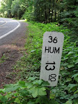 highway 36, Humboldt County