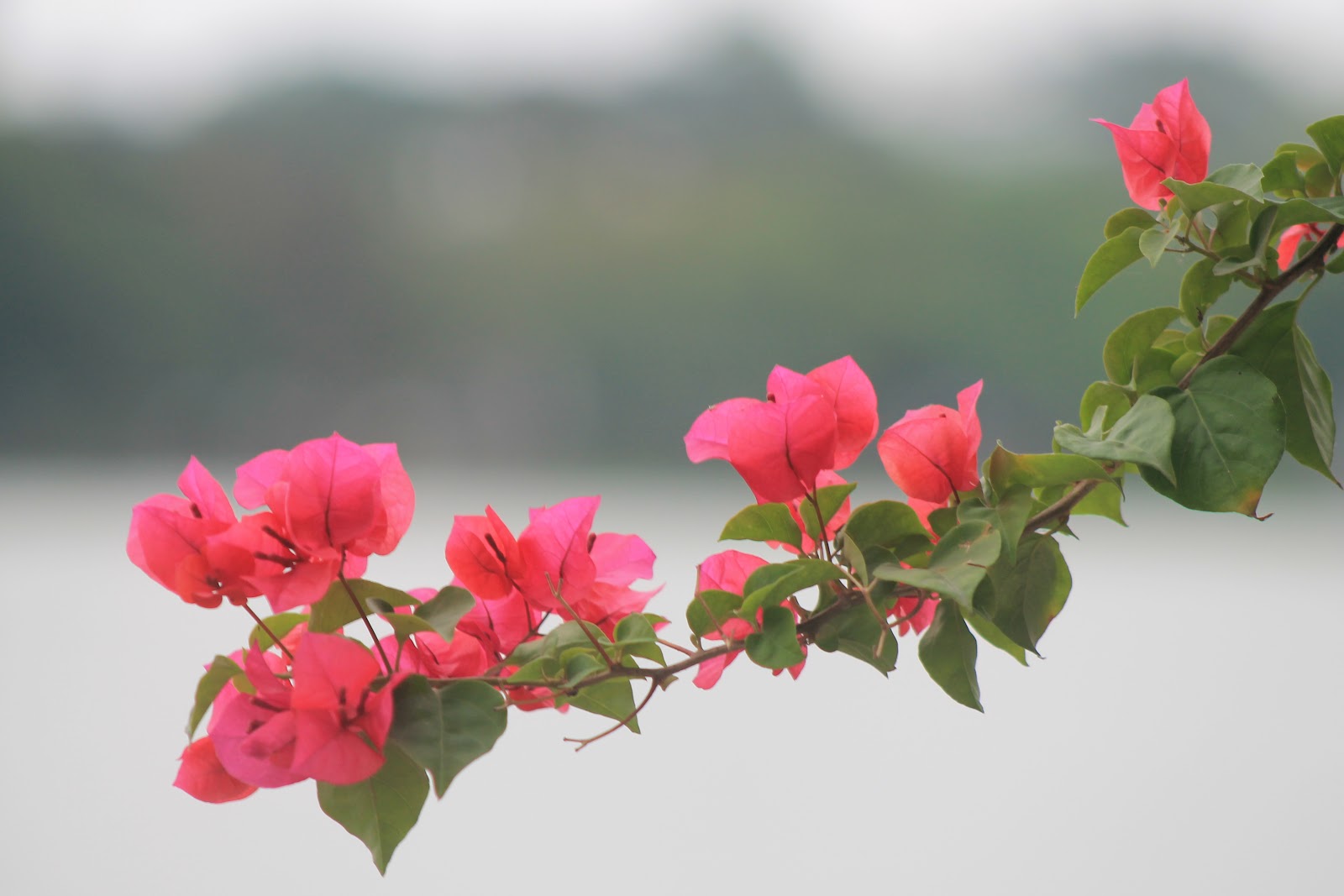 prostituee kathmandu